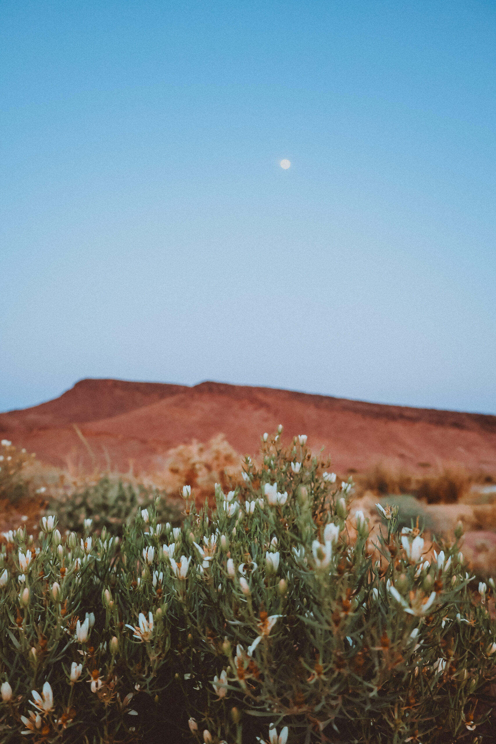 Kasbah sunrise