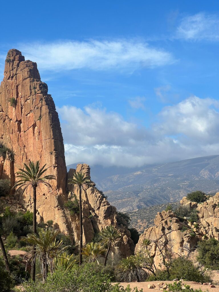 1a286244-8239-45a1-a0e8-6c92709544bf