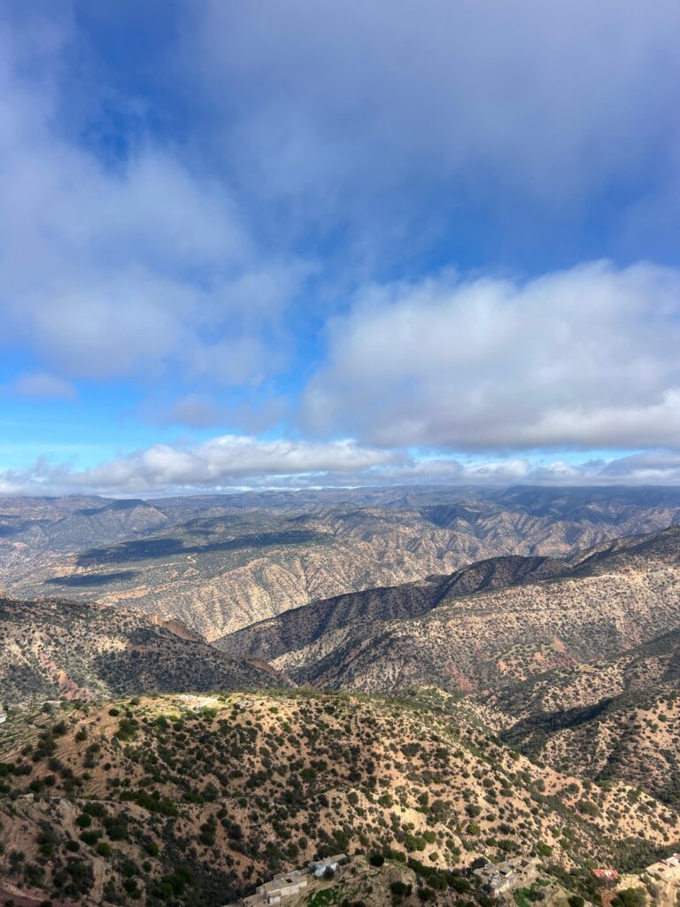 75f0da40-f512-4260-9880-d804f0688d8b