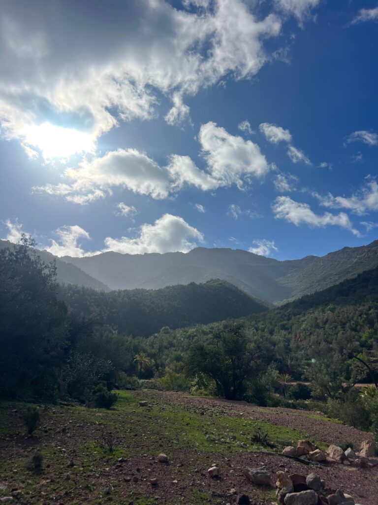 ccf5bc47-551e-4155-80c1-a877adb7ece9